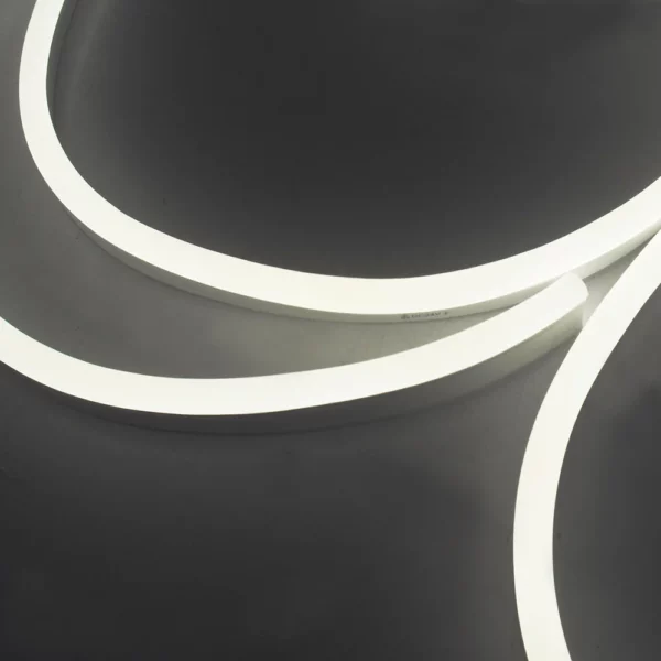 Rubber light