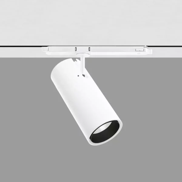 Pound projector